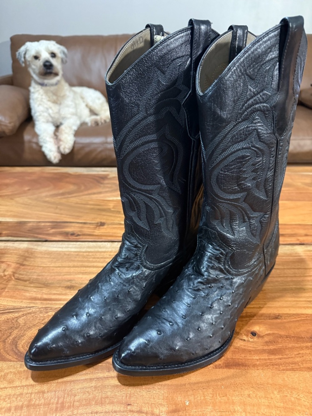 Full Quill Ostrich by Max Leather, Western Cowboy Boots Men’s Size 9-1/2 D EUC - Picture 2 of 11